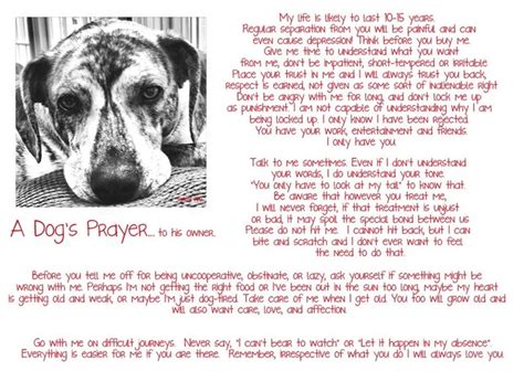 O lord our god, we come before you this day in sadness. A Dog's Prayer | I Like | Pinterest | Prayer, A dog and Dogs