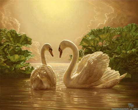 Love Nature Wallpapers - Wallpaper Cave