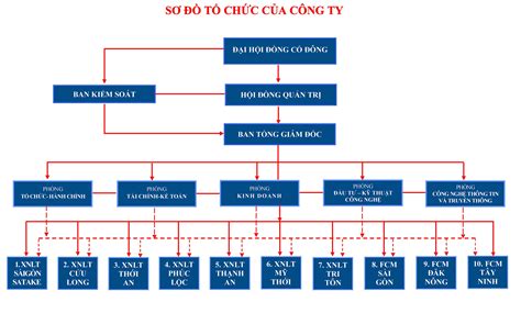 sơ đồ tổ chức doanh nghiệp là gì kiến thức cho người lao Động việt nam