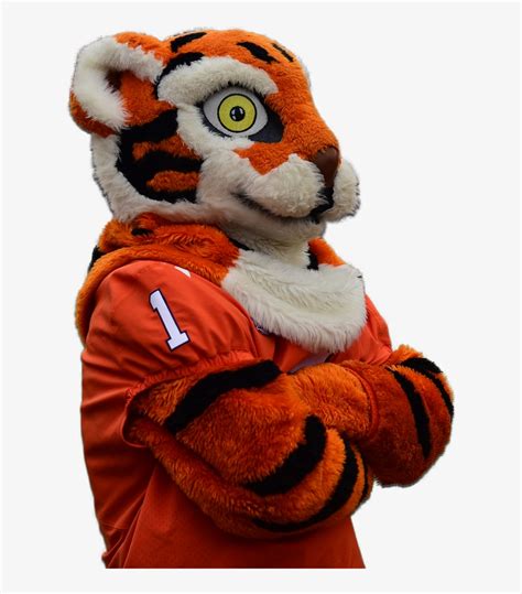 Clemson Tiger Mascot Clemson University Transparent Png 614x854