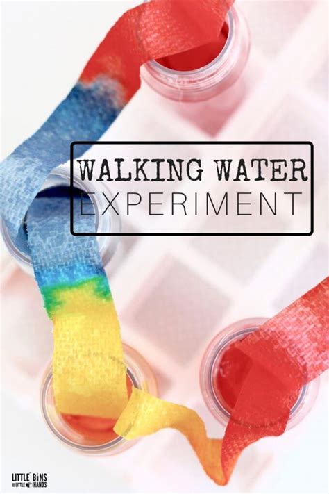 Walking Water Science Experiment For Kids Stem And Rainbow Science