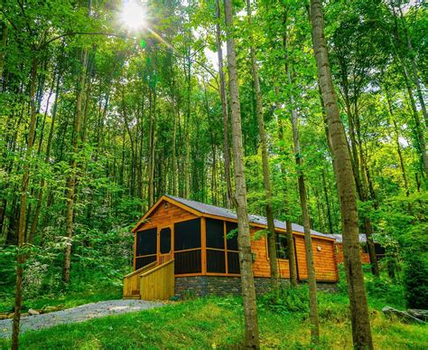 Maybe you would like to learn more about one of these? Luxury Cabins Near Fallingwater: Laurel Highlands Hotel by ...