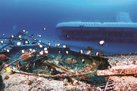 Atlantis Submarine Tour With WanderFull Adventures On The Big Island Of Hawaii