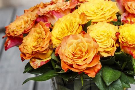 Bouquet Of Stunning Orange Roses Stock Photo Image Of Anniversary