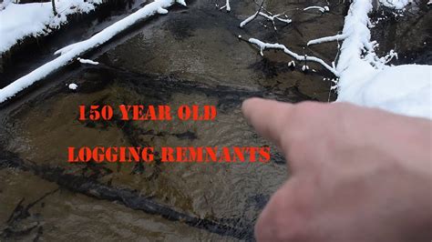 150 Year Old Remnants Of A Logging Railroad Stream Crossing In Michigan