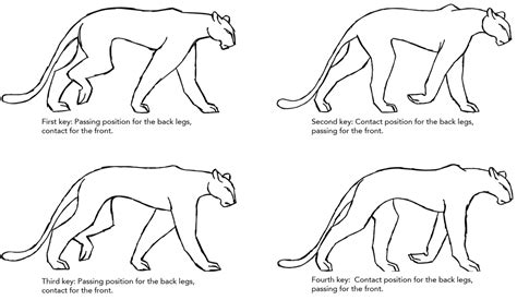 Four Legged Walk Cycle Test Youtube - vrogue.co
