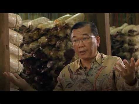 Dr kevin sek weng yew. Dr. Lim Siow Jin "Ganoderma und Spirulina" - YouTube