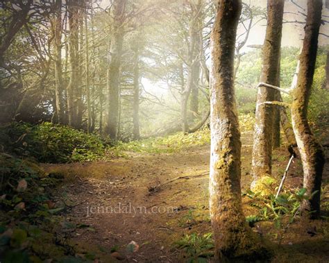 Create More Light Oregons Hobbit Trail A Real Enchanted Forest