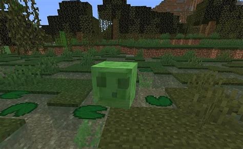 Slime Minecraft Lệnh Tìm 5 Cách Tìm Nhanh Nhất