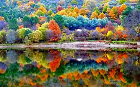 Autumn Scenery Wallpaperhd Nature Wallpapers4k Wallpapersimages