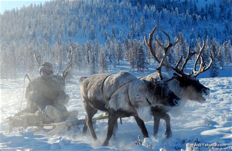 The Kingdom Of Cold 14 Reasons To Choose Majestic Yakutia For Your