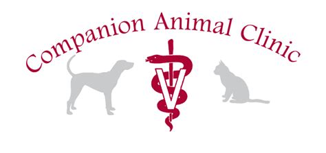 Companion Animal Care Clinic Photos All Recommendation