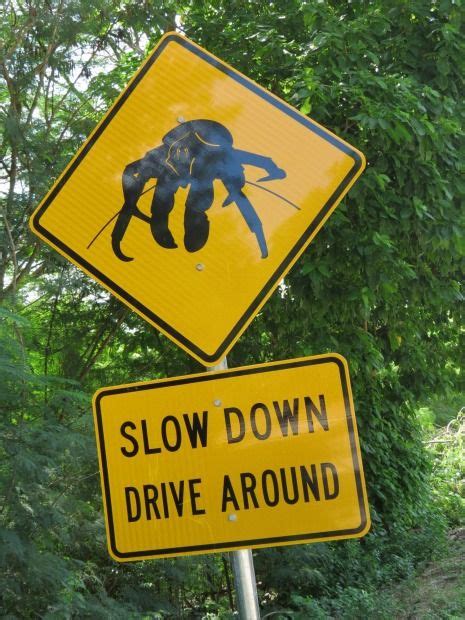 Sixteen Weird Road Signs You Could Only See In Australia Funny Road
