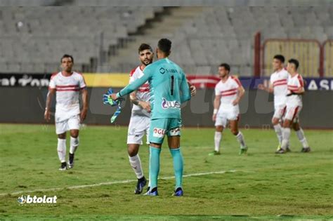 عدد خلايا النحل المرخصة في المملكة حالياً. مصدر بـ الزمالك يجيب لـ بطولات.. هل سيسير فرجاني ساسي على ...