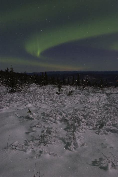 Winter Night Landscape With Northern Lights Picture Image 1509038
