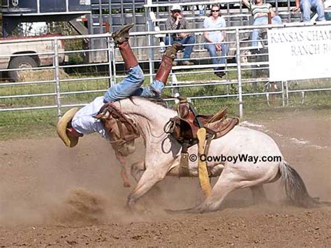 Bronc Riding Wreck Pictures