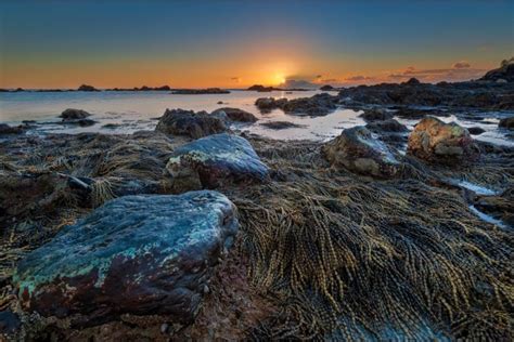 Australia Sunset Landscape Beach Sea Ocean Wallpapers