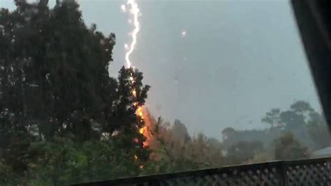 Watch Incredible Moment Lightning Strikes Tree Explodes