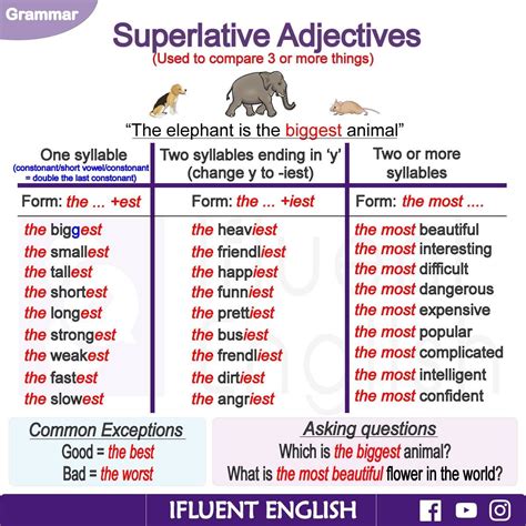 Lista Foto Lista De Adjetivos Superlativos Y Comparativos En Ingles