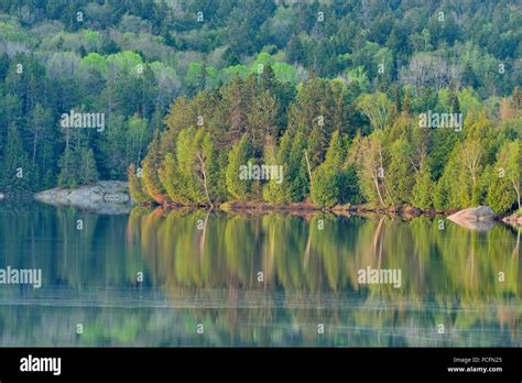 Spring Reflections In Simon Lake Greater Sudbury Ontario Canada