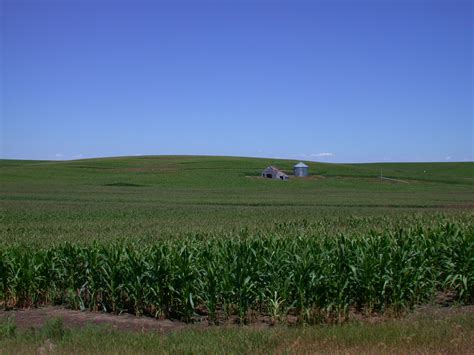 Corn Fields In Nebraska Us Geological Survey