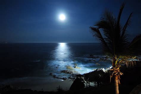 Free Download Moon Night Beach Full Moon The Sea Ocea