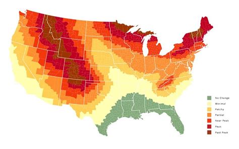 Fall Foliage Map Of When The Leaves Will Change Readers Digest