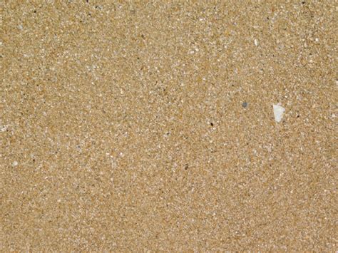 Freepik Closeup Of Sand Texture Free Photo Jpeg Pikdone