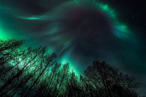 nature, Landscape, Starry Night, Aurora Boreal, Trees ...