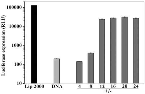Transfection Efficiencies Of Ru6L PGL3 DNA Particles In HeLa Cells As
