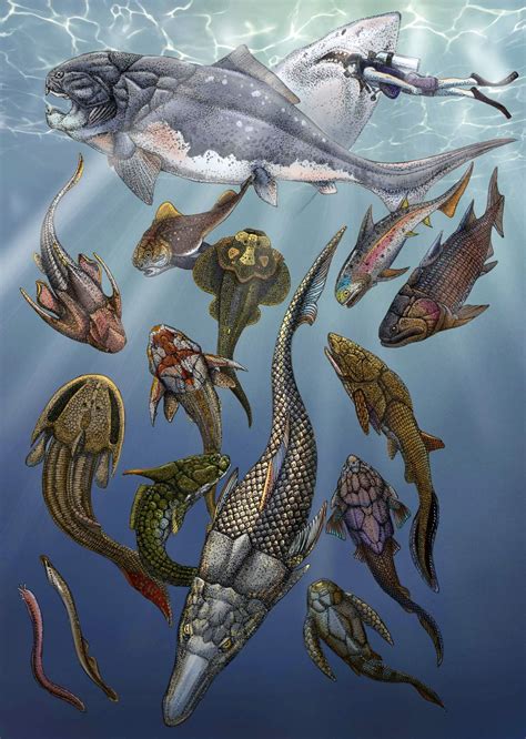 Devonian Fishs Inner Ear Sheds Light On Earliest Evolution Of Jawed