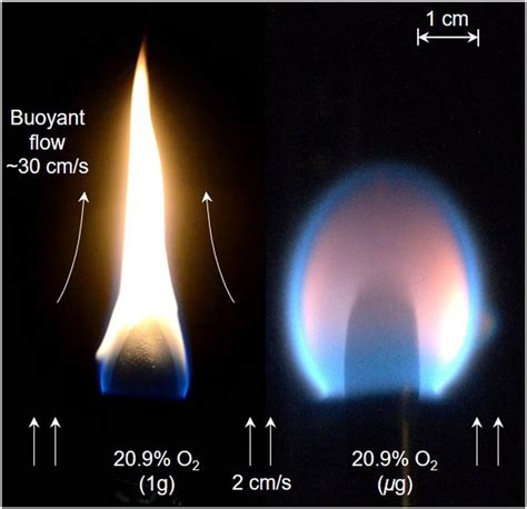 Photo Of The Flame Spread Normal Gravity And Microgravity At X O 2