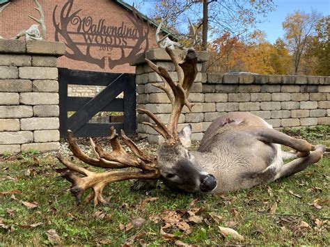 Ohio Trophy Whitetail Deer The Hunt Exchange