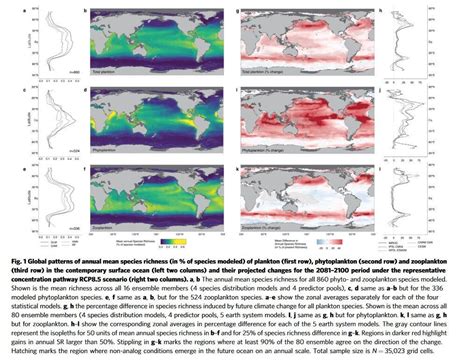 How Migrating Plankton Could Bring Serious Impact To Oceans World