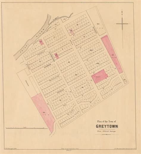 Plan Of The Town Of Greytown From Official Surveys Electronic