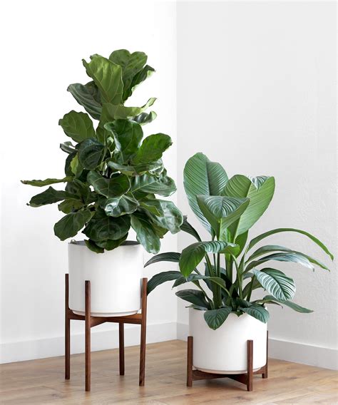 Mid Century Modern Planters And Plant Stands The Potted Earth Co