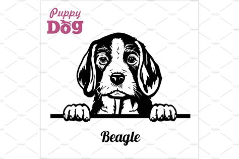 Puppy Beagle Peeking Dogs Breed Vector Graphics Creative Market