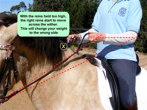 How To Hold The Reins