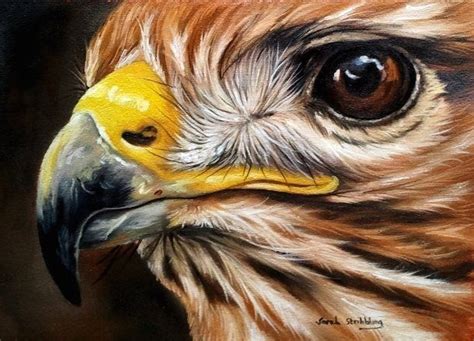 Sarah Stribbling Wildlifeart Oil Paint Of A Eagle Wildlife Art
