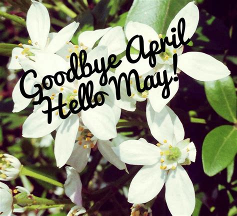Goodbye April Hello March Wishes Oppidan Library