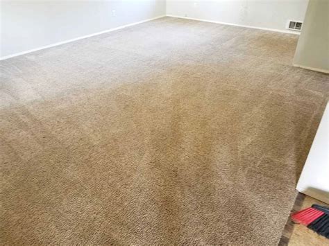 Carpet Cleaning Services Near You - Everett, Seattle ...