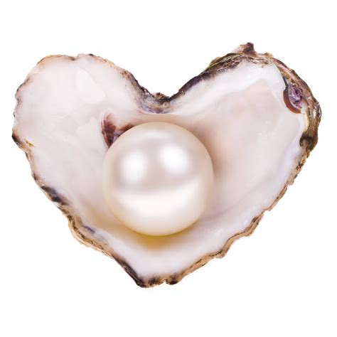 What Is A Pearl Pearls Of Wisdom By The Pearl Source