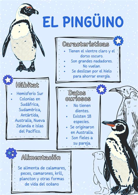Afiches Pingüinos EL PINGÜINO CaracteristicasCaracteristicas