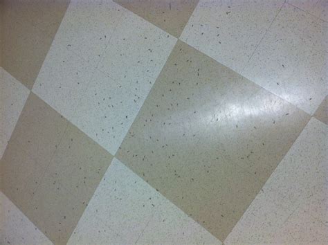 Signs of termite infestation mississippi state university extension service termite exit holes how to identify tunnel termite exit holes in drywall sheetrock or ceiling signs to look for hanging mud or sand termite s responsible pest control. Termites Fall from Ceiling in Media Lab Hallway - Inklings ...