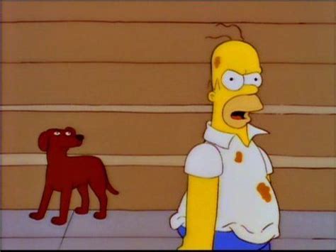 Homer Remembering That Dogs Cant Talk And Getting Mad At Himself For
