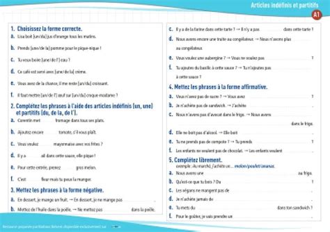 Articles Indéfinis Et Partitifs A1 Exercices De Grammaire En Pdf