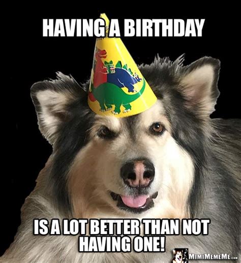 One Liner Birthday Jokes Short Happy Birthday Humor Hilarious B Day