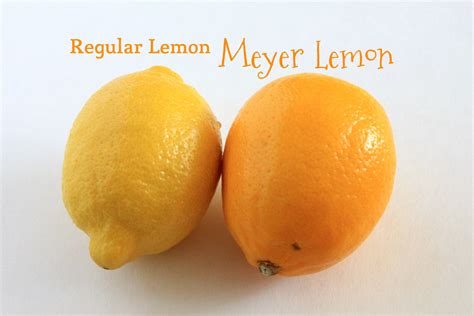 Meyer Lemons Vs Regular Lemons Know Their Differences