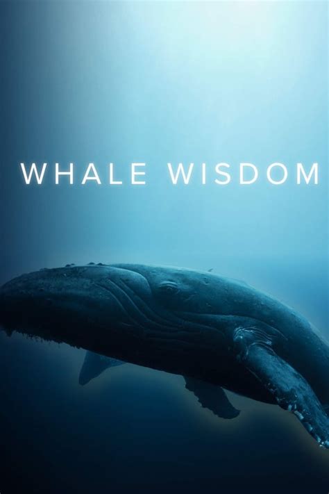 Whale Wisdom 2018 — The Movie Database Tmdb
