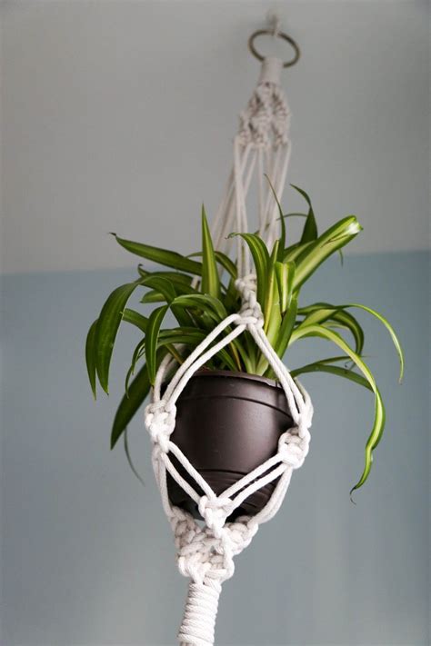 How To Make A Simple Diy Hanging Plant Holder Life Storage Blog